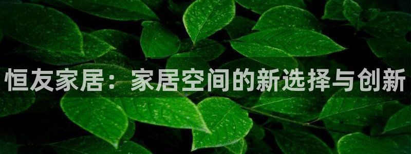 欧乐星城娱乐的介绍