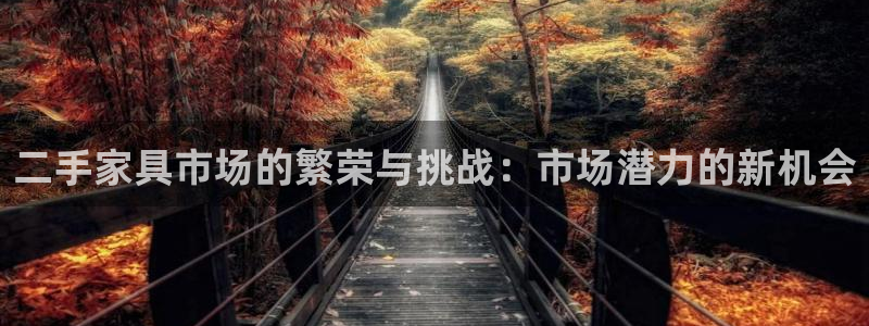 星欧娱乐平台主管