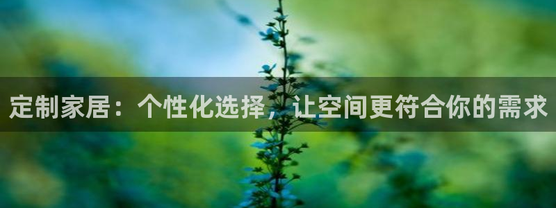 星欧娱乐雀V是什么平台