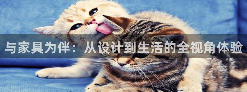 星欧娱乐是诈骗吗