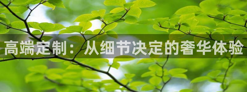 星欧娱乐是正规品牌吗