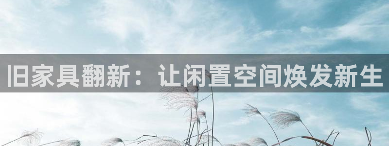 星欧娱乐公司