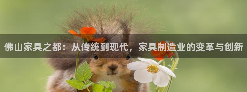 星欧娱乐掌7O777