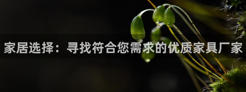 星欧娱乐登陆