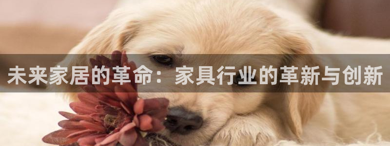 星欧娱乐意7O777
