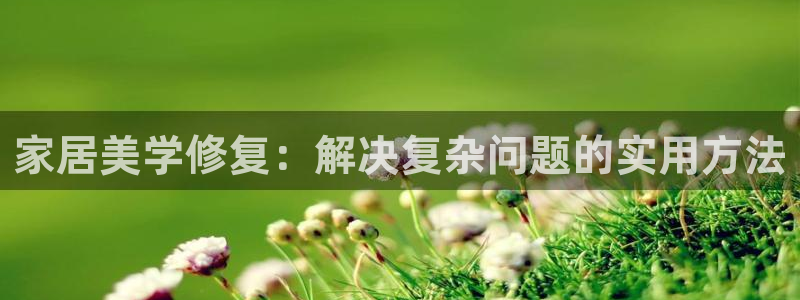 欧星娱乐网址无脑赚：家居美学修复：解决复杂问题的实用方法