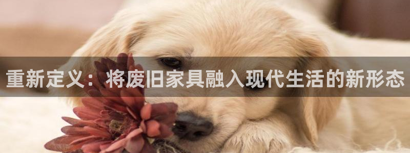 星欧娱乐公司电话号码