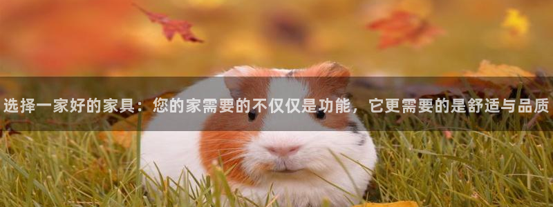 欧乐星城休闲娱乐