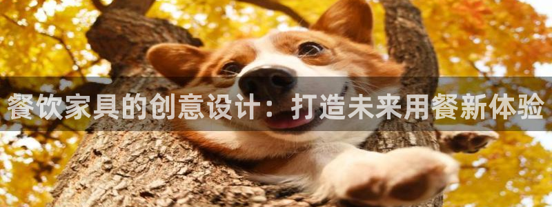 欧星娱乐最新地址