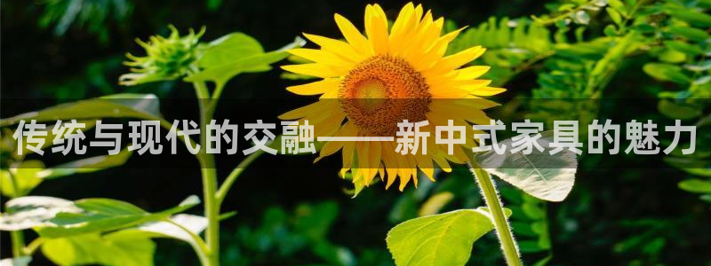 星欧娱乐主管