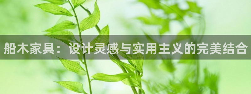 星欧娱乐平台是什么