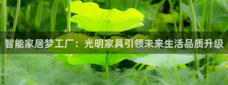 欧乐星城休闲娱乐