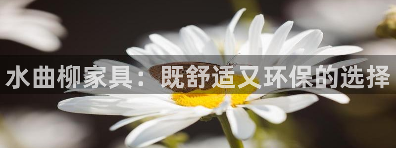 欧豪娱乐星天地采访