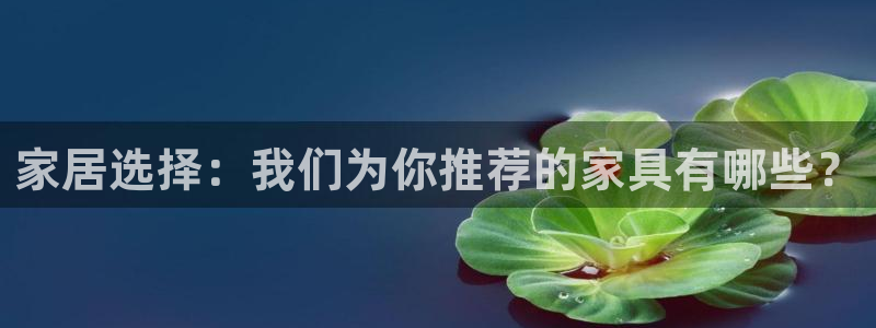 星欧娱乐主管