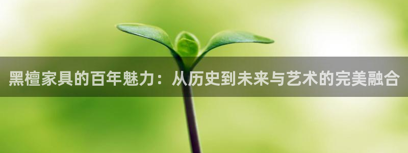 星欧娱乐法最新进展