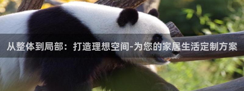 欧乐星城团购娱乐怎么样