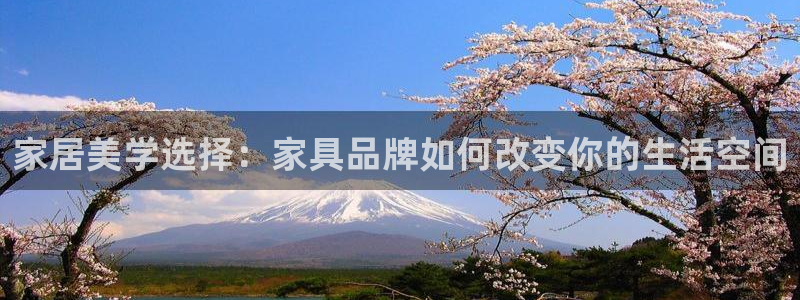欧星娱乐棋牌怎么样