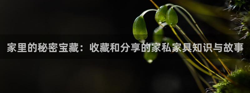 星欧娱乐登陆