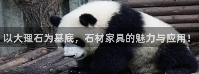 星欧娱乐负责人