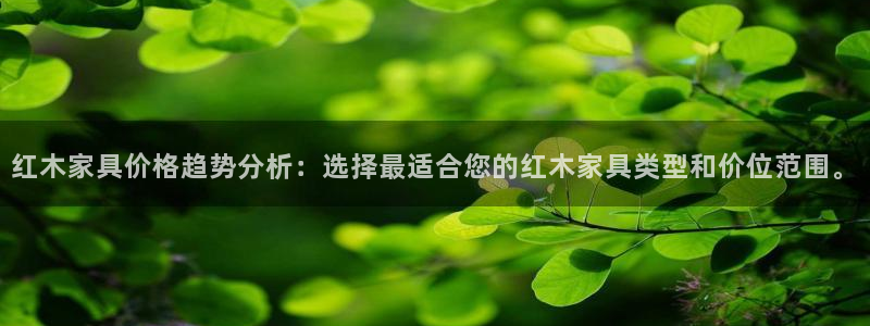 星辉娱乐进入欧联杯了吗