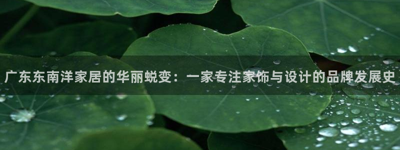 欧星娱乐的盘口