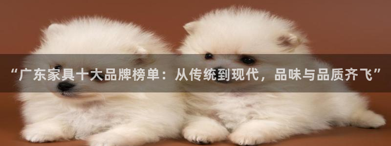 星欧娱乐旗下艺人名单