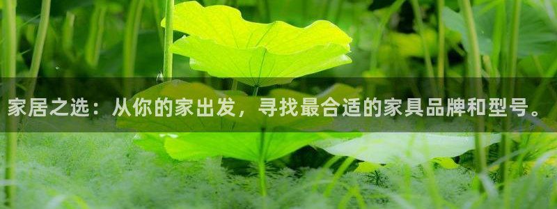 欧星娱乐棋牌怎么样