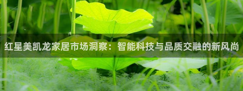 亚星娱乐欧瘫威sky133688
