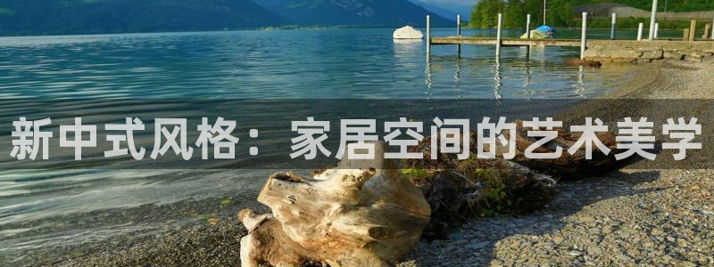 星辉娱乐进入欧联杯