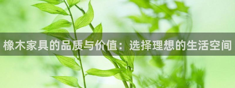 小西门欧乐星城娱乐项目