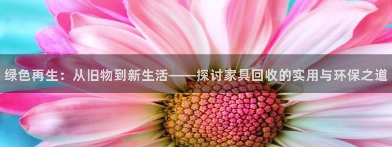 欧豪娱乐星天地采访