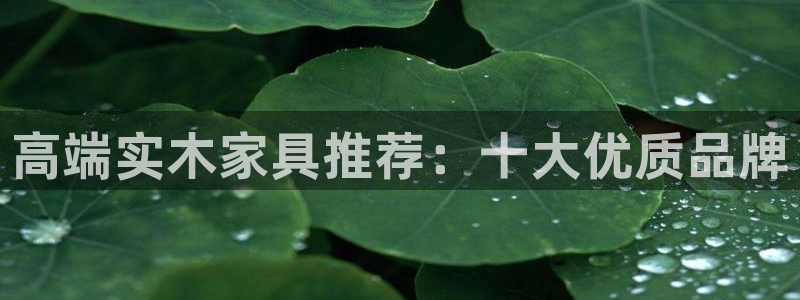 星欧娱乐最新消息今天
